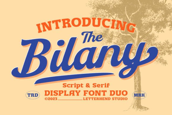 The Bilany: A Font Pairing That Feels Like a Vintage Discovery
